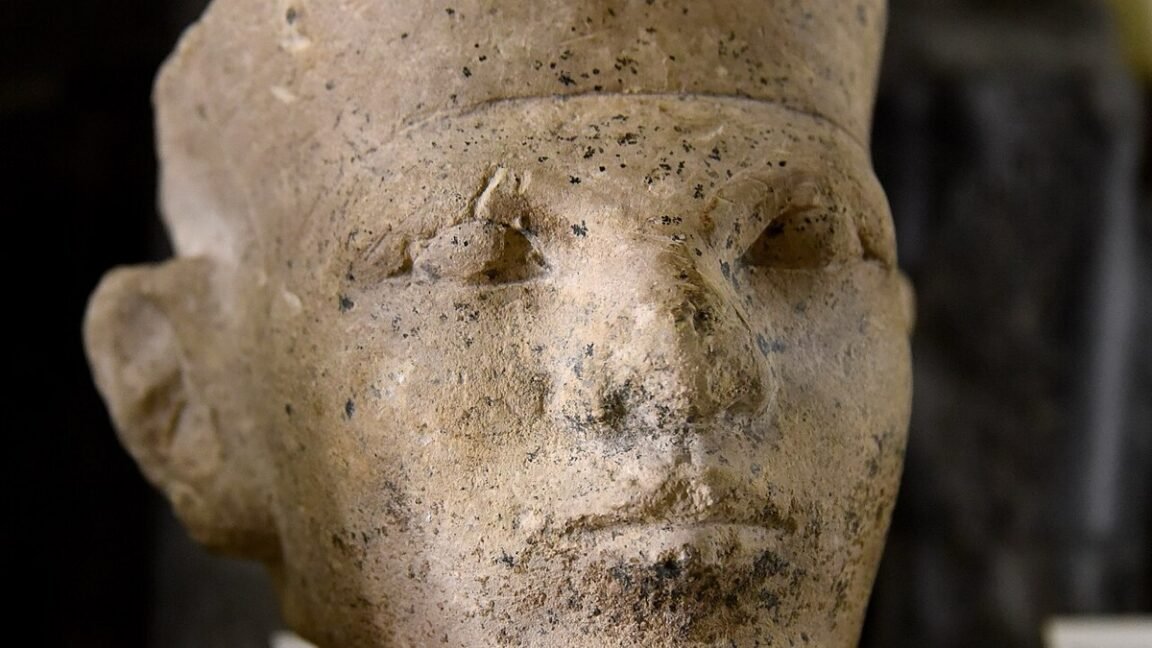Limestone head of a king, thought by Flinders Petrie to be Narmer, on the basis of the similarity to the head of Narmer on the Narmer Palette. This has not been generally accepted by Egyptologists.